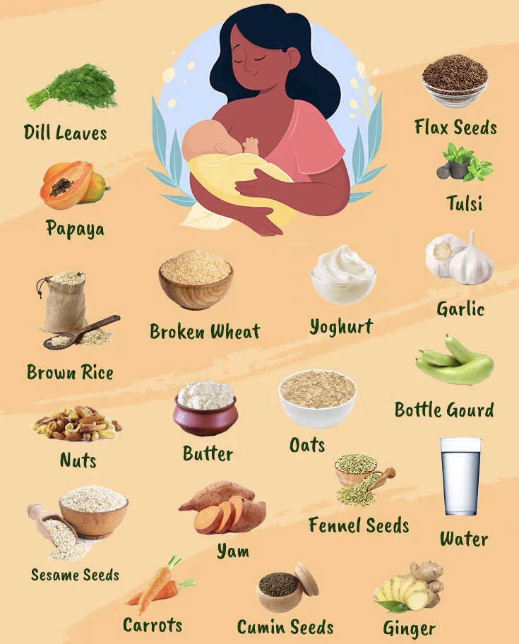 چه غذاهایی موجب افزایش شیر مادر میشوند؟